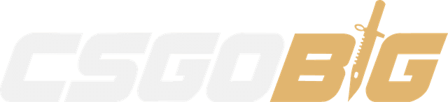 CSGOBig